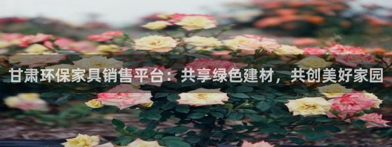 tpatpa加速器
