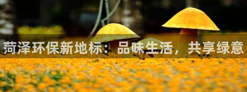 tp钱包heco链可以提现了吗