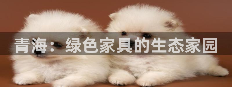 tp钱包安卓最新版本怎么用