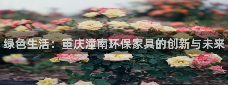 tpay钱包最新版本更新内容介绍