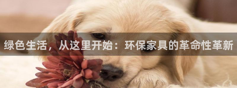 tp钱包bnb