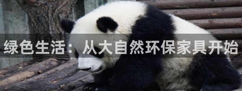 tp钱包bsc怎么转到erc