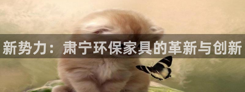 tp-l1nk下载