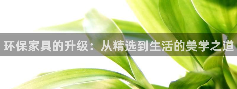 tp官网钱包网址