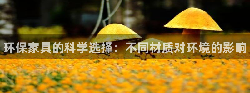 ht提到tp钱包