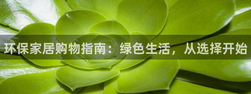 tp钱包xf