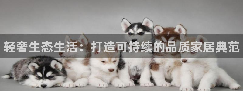 tp钱包app哈希值查询视频