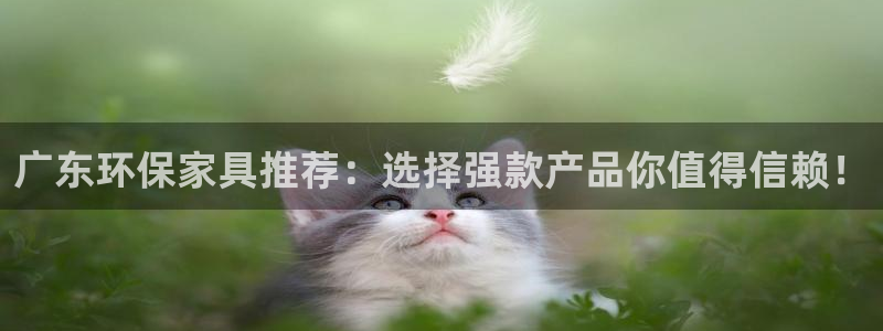 tptptptp下载安装链接：广东环保家具推荐：选择强款产品