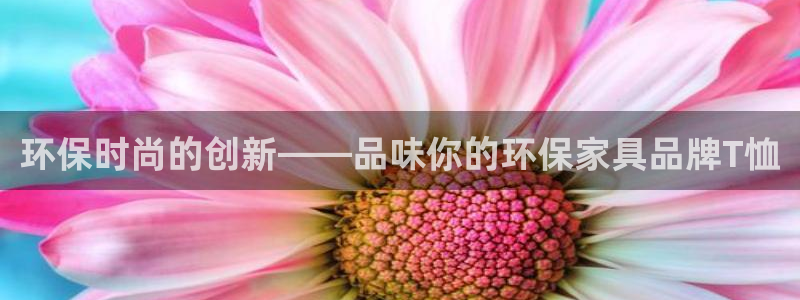 tp钱包 pancake：环保时尚的创新——品味你的环保家具