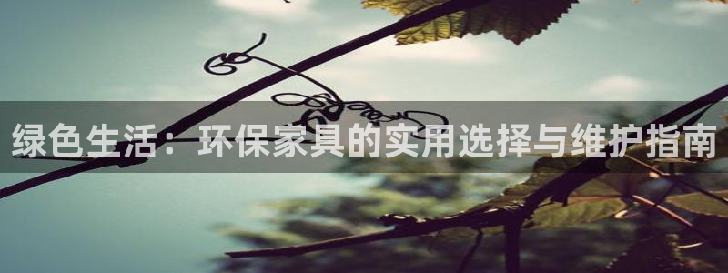 tp usdt：绿色生活：环保家具的实用选择与维护指南