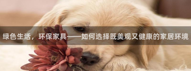 tokenpocket和tp wallet区别：绿色生活，环