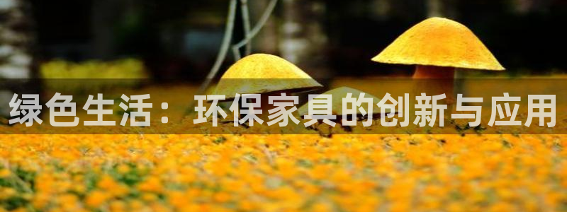 fil币提到tp钱包：绿色生活：环保家具的创新与应用