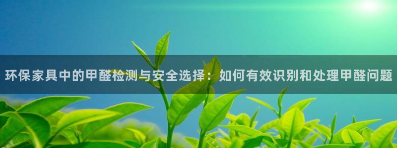 Tp钱包TRx网络费：环保家具中的甲醛检测与安全选择：如何有