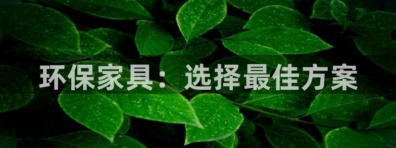 tp钱包APP：环保家具：选择最佳方案