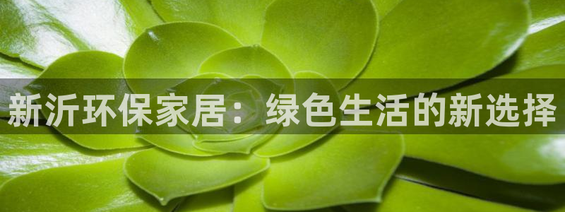 tp钱包bnb怎么提现：新沂环保家居：绿色生活的新选择