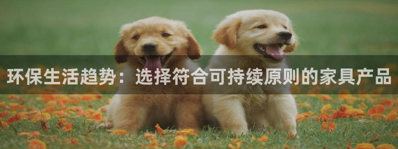 tp钱包 kishu
