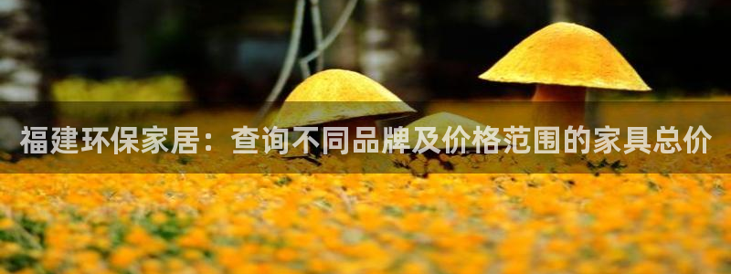 tp钱包dapp打不开链接：福建环保家居：查询不同品牌及价格