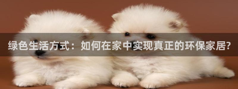 tp钱包安全吗可靠吗：绿色生活方式：如何在家中实现真正的环保