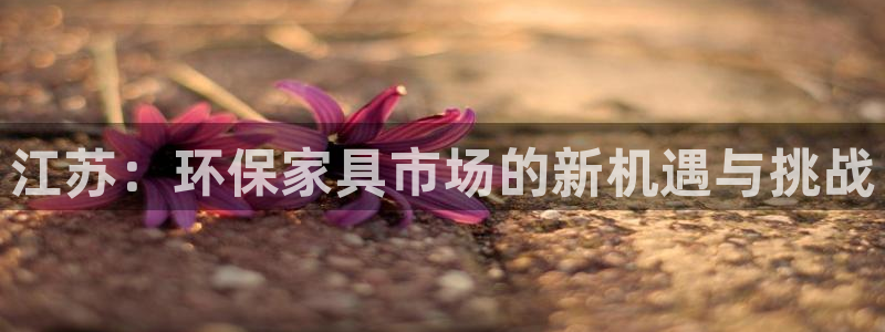tp钱包app官方版下载安卓版：江苏：环保家具市场的新机遇与