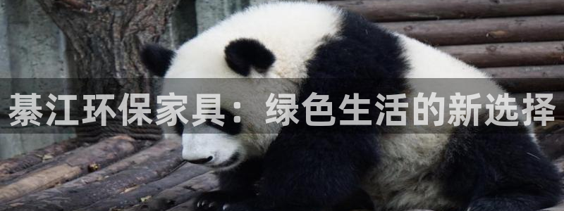 tp钱包htmoon