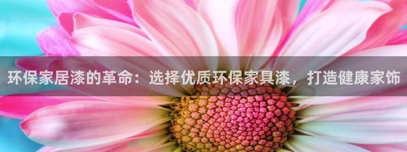 TP钱包Chick余额：环保家居漆的革命：选择优质环保家具漆