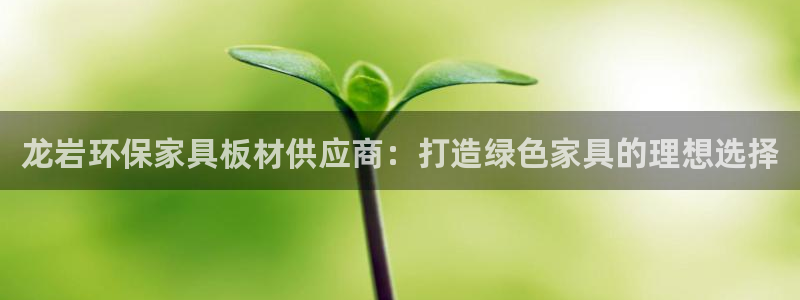 tp15.app：龙岩环保家具板材供应商：打造绿色家具的理想
