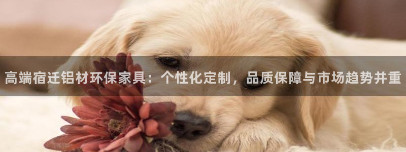 tp钱包failed