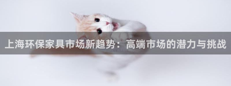 tp14.app：上海环保家具市场新趋势：高端市场的潜力与挑