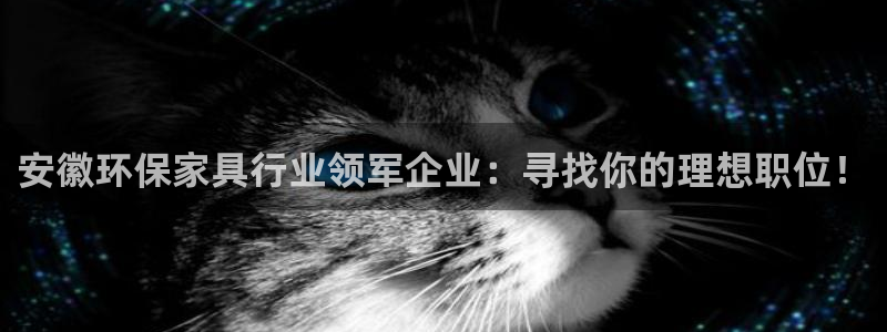 tp观察钱包怎么转账