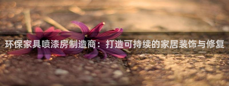 TP钱包app没办法使用