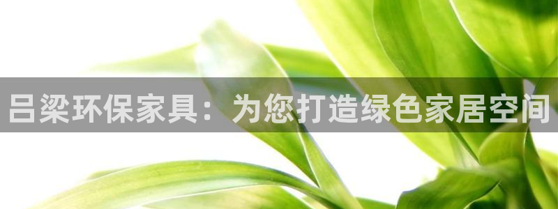 Tp钱包安卓版v2.8.3：吕梁环保家具：为您打造绿色家居空